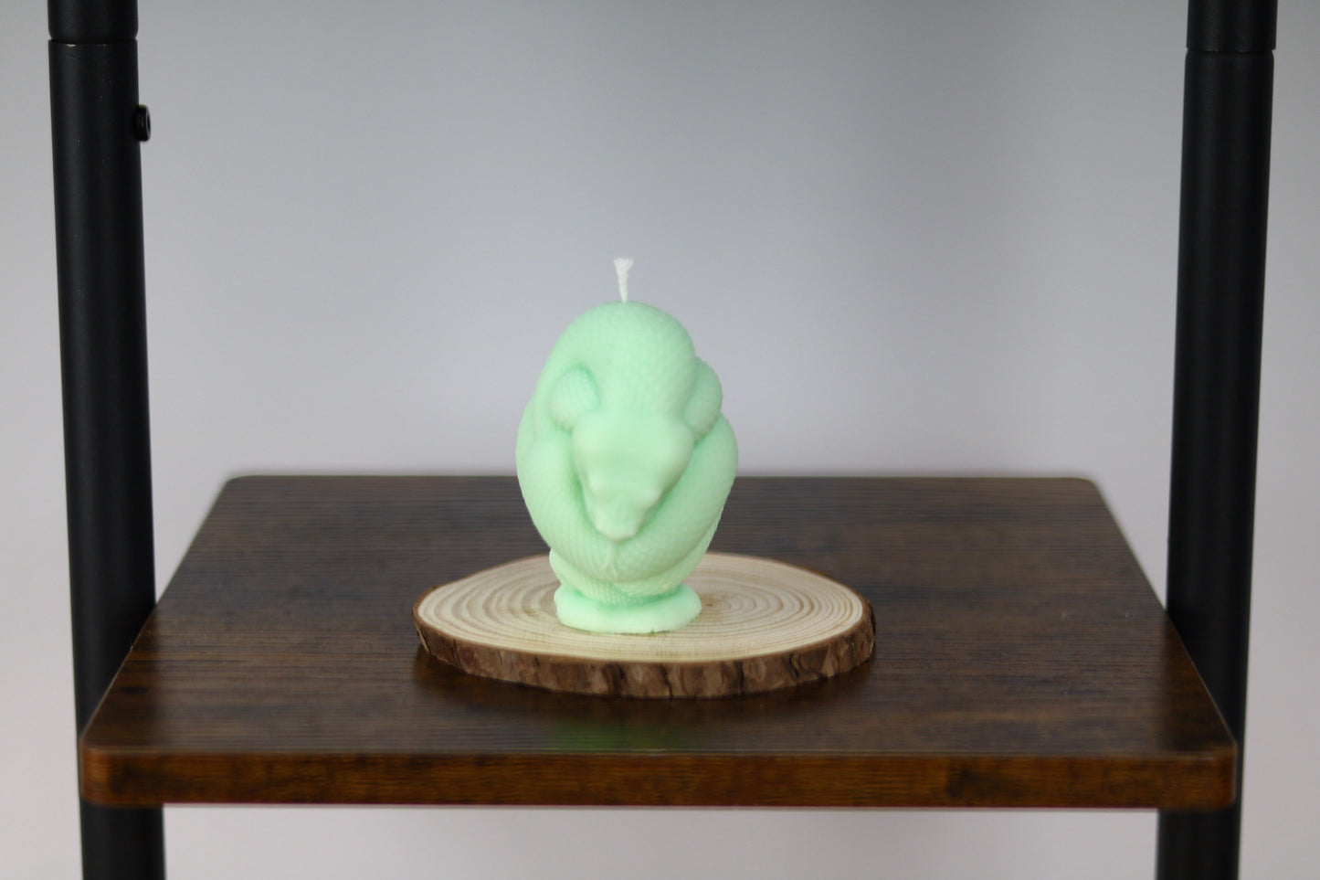 Snake Candle