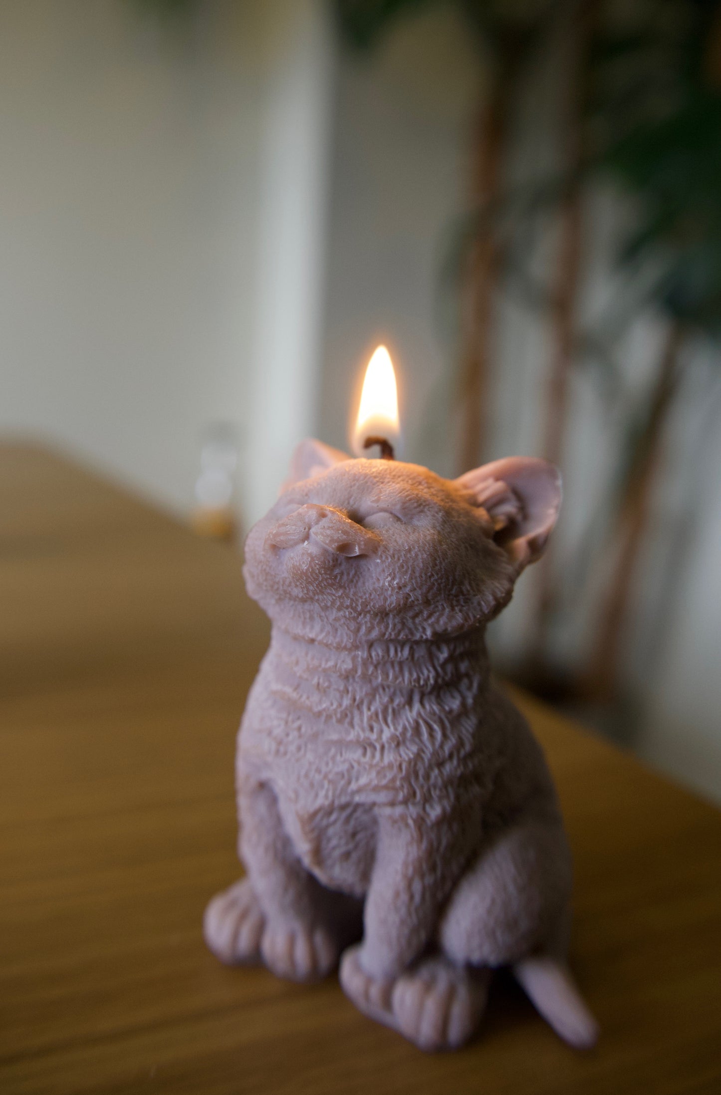 Cat Customisable Candle