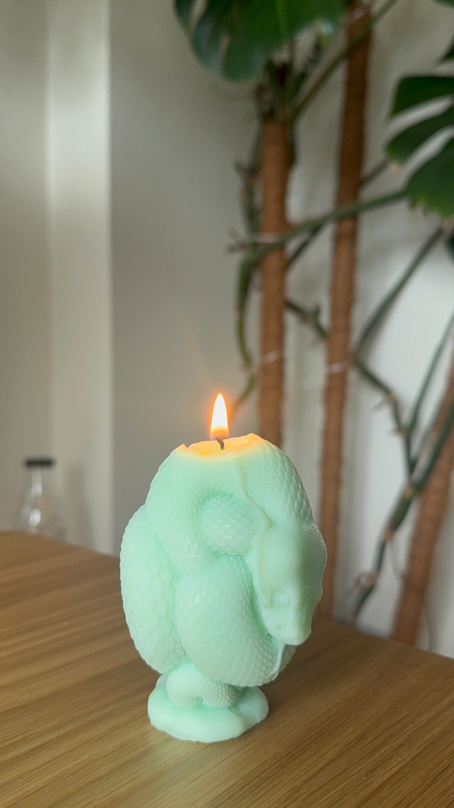 Snake Candle Candle