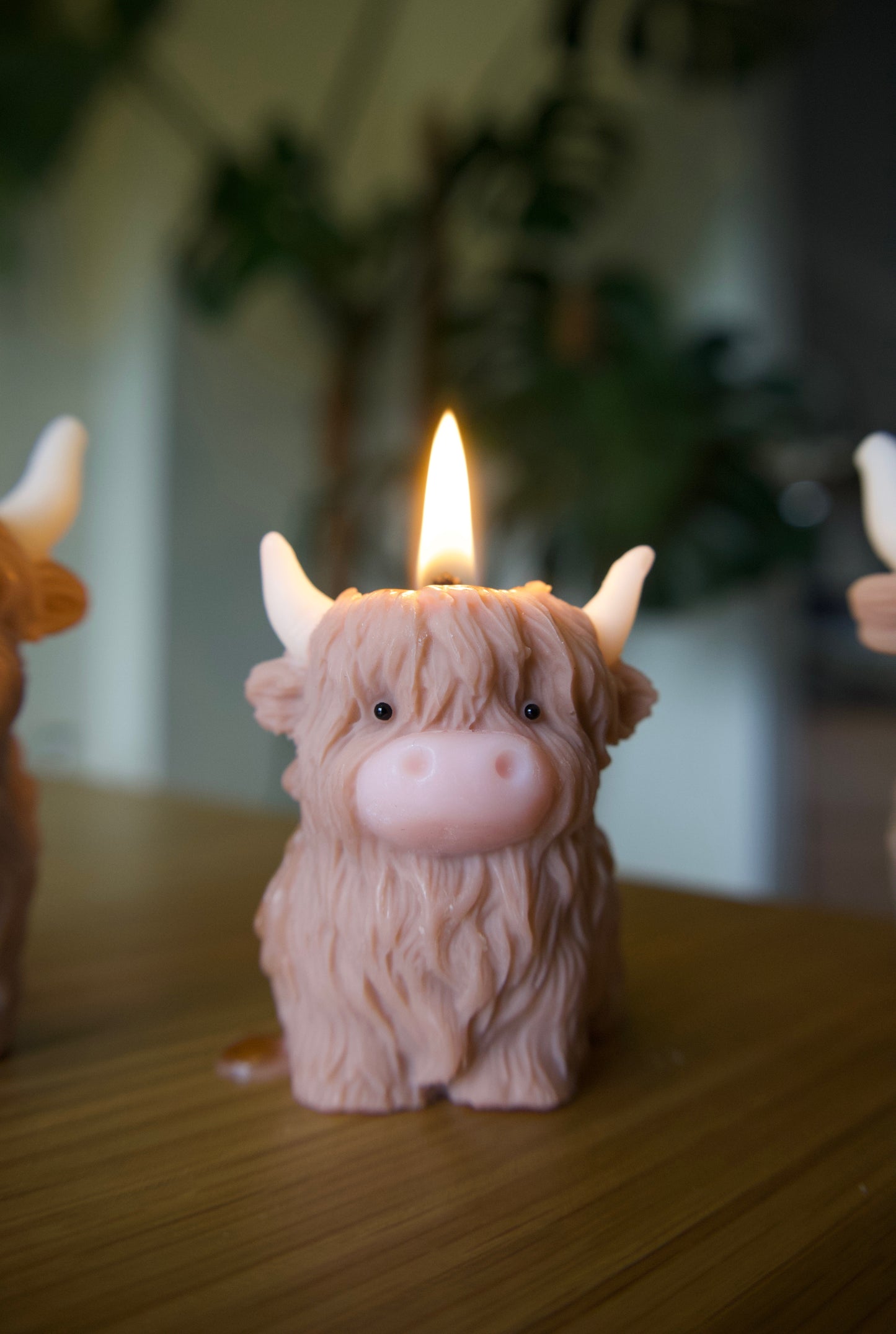 Highland Cow Candle
