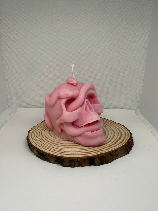 Skull Snake Candle