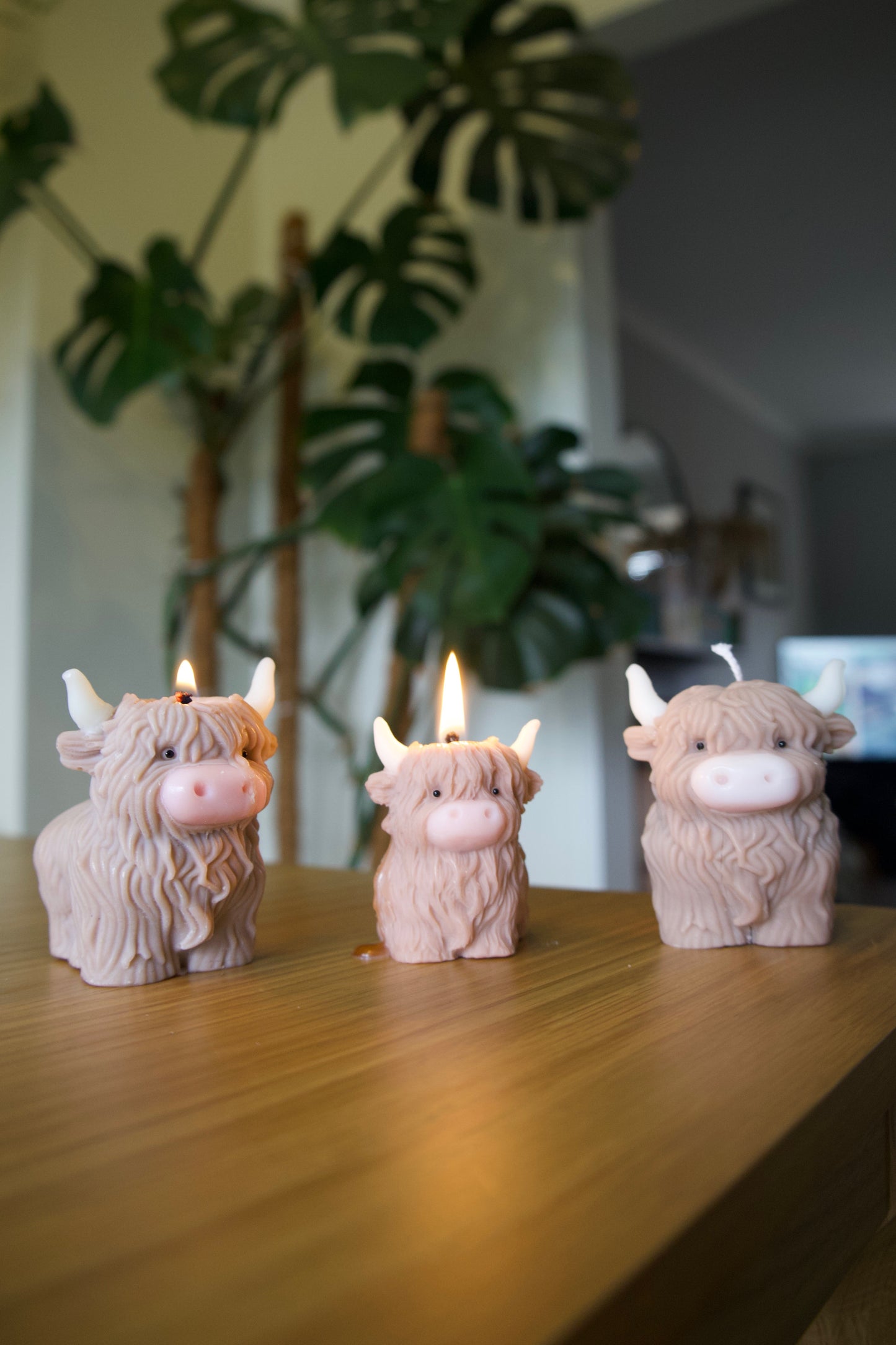 Highland Cow Candle