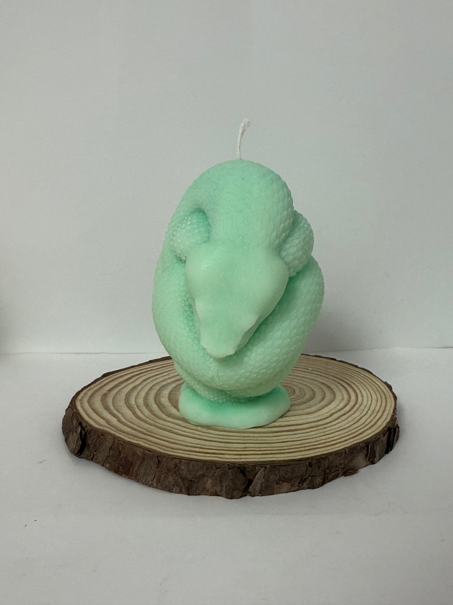 Snake Candle